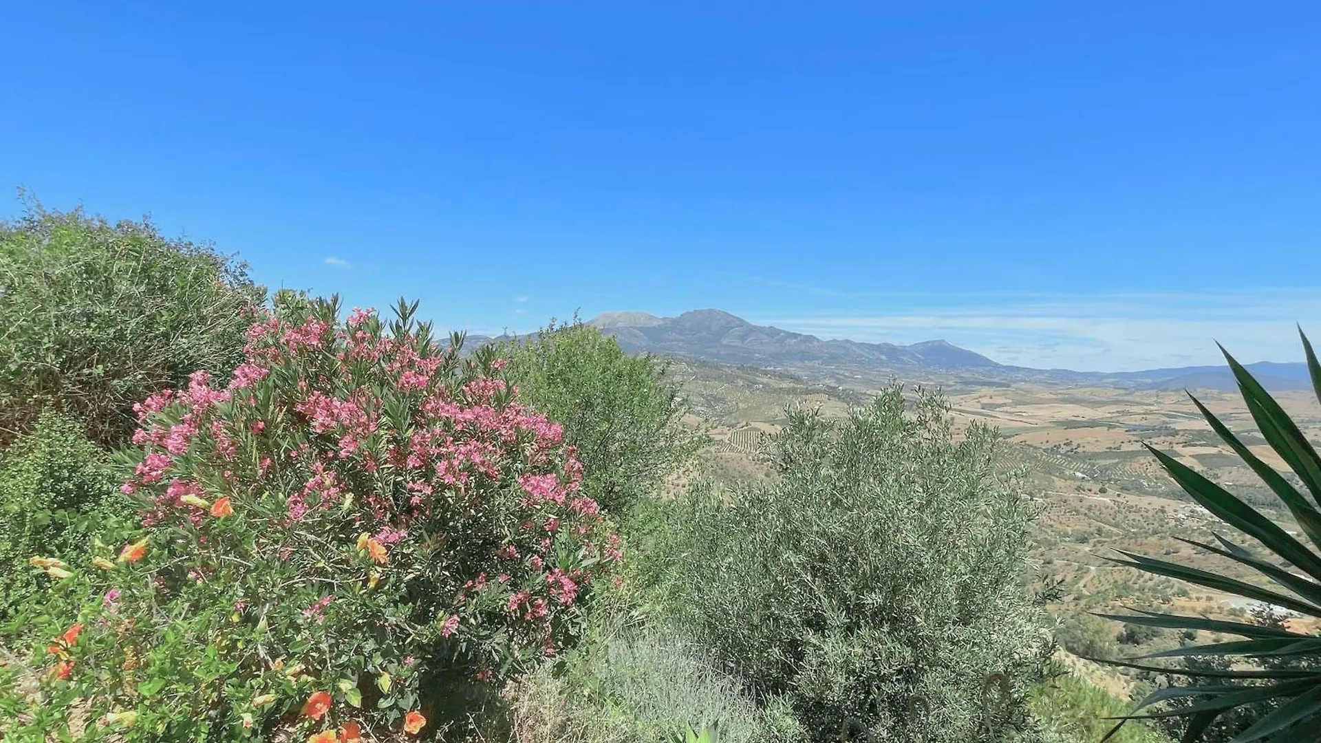 Casa Del Barco With Pool And Stunning Views Villa Guaro